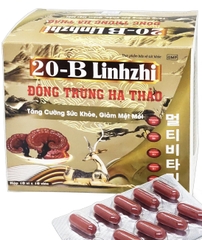 20B LINHZI