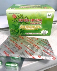CẢM XUYÊN HƯƠNG H/100viên