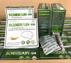 GINKGO SOBERAIN SM H/100viên