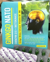 GINKGO NATO xanh vàng h/100v