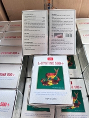 LCYSTINE 500+