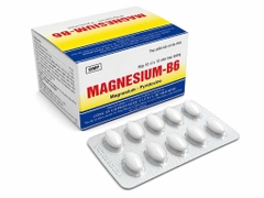 MAGIE B6 TB
