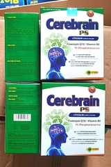 CEREBRAIN PS