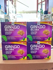 GINKGO BILOBA TÍM 360