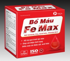 FE MAX H/100viên