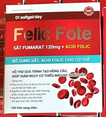FELIC FOTE H/100V