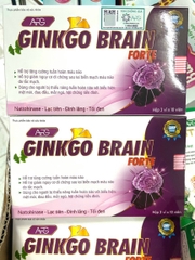 GINKGO BRAIN FORTE