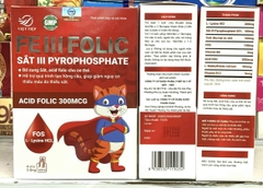 FE III FOLIC ống
