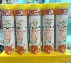 SỦI 4G MULTI CAM LỐC/10T