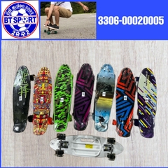 ແຜ່ນສະເກັດ 2406