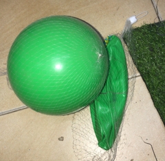 ໝາກບານຫລີນນ້ຳ