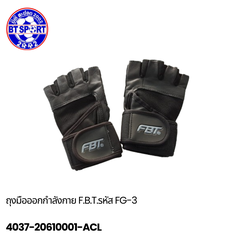 ສົບມືຫຼີນຟິດເນັດ FBT FG3