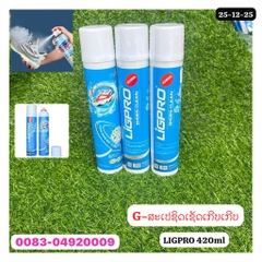 G-ສະເປຊິດເຊັດເກີບ LIGPRO-420ml