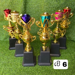 B9- ຂັນເບີ NO. 6