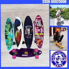 ແຜ່ນສະເກັດ 1 ອັນຫີວ