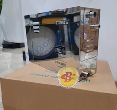 Máy xông hơi ướt Coast 6kw KSB60D cao cấp vỏ inox/ LH: 0906342113