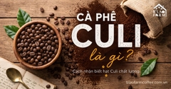 Cà phê Culi là gì? Đặc điểm, hương vị và cách chọn hạt Culi chất lượng