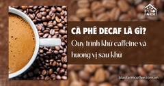 Cà phê Decaf là gì? Quy trình khử caffeine và hương vị sau khử