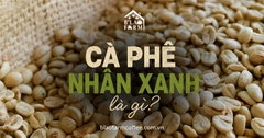 Cà phê nhân xanh là gì? Các phương pháp chế biến và tiêu chí đánh giá