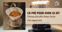 Cà phê Pour Over là gì? Hướng dẫn pha đúng chuẩn cho người mới
