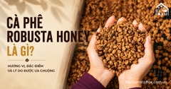 Cà phê Robusta Honey là gì? Khám phá Honey Process và lý do được ưa chuộng