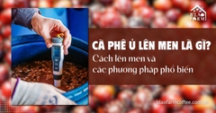 Cà phê ủ lên men là gì? Cách lên men & các phương pháp phổ biến