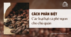 Cách phân biệt các loại hạt cà phê ngon cho chủ quán