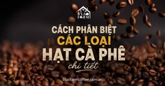 Cách phân biệt các loại hạt cà phê: Đặc điểm và cách nhận biết chi tiết