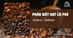 Cách phân biệt hạt cà phê Arabica và Robusta: Từ hương vị đến cách lựa chọn