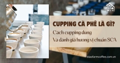 Cupping cà phê là gì? Cách cupping và đánh giá hương vị chuẩn SCA