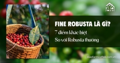 Fine Robusta là gì? 7 điểm khác biệt so với Robusta thường