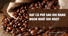 Hạt cà phê sau khi rang ngon nhất khi nào?