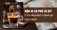 Hậu vị cà phê là gì? Cách nhận biết và đánh giá hậu vị ngon