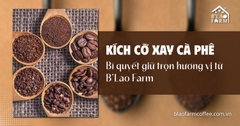 Kích cỡ xay cà phê – Bí quyết giữ trọn hương vị từ B’Lao Farm