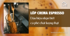 Lớp Crema Espresso: Dấu Hiệu Nhận Biết Cà Phê Chất Lượng Thật