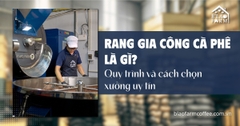 Rang gia công cà phê là gì? Quy trình và cách chọn xưởng uy tín