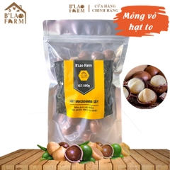 Hạt macca sấy nứt vỏ B'Lao Farm loại 1 xuất xứ Lâm Đồng tốt cho bà bầu, bé dạng túi 500g