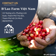 Cà phê rang xay nguyên chất Blend 90% Robusta và 10% Arabica B'lao Farm rang mộc ,gu hiện đại,không hương liệu và chất bảo quản B91