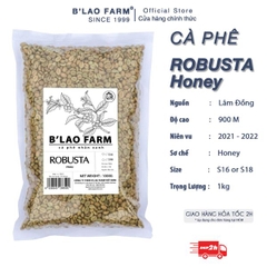 Cà phê nhân xanh robusta honey B'LAO FARM