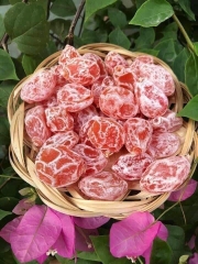 Xí muội đào không hạt