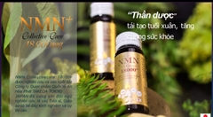 NMN COLLAGE CẢI LÃO HOÀNG ĐỒNG