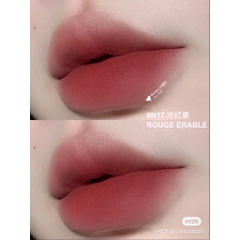 Son Givenchy 17 Rouge Erable Limited