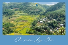 Du Xuân Tây Bắc 2025: Trải Nghiệm Nên Có Một Lần Trong Đời