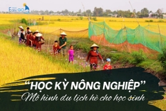 "Học kỳ nông nghiệp": Mô hình du lịch hè độc đáo cho học sinh