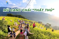 Du khách đổ xô về Mù Cang Chải "săn" lúa vàng, đồi Móng Ngựa "thất thủ"