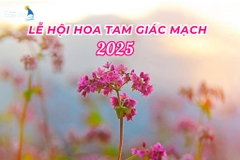 Lễ hội hoa tam giác mạch Hà Giang 2025 đã sẵn sàng chờ đón du khách