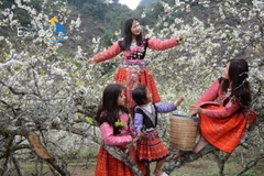 Địa điểm vui chơi, ăn uống, du lịch nên chọn trong dịp Nghỉ Tết Dương lịch 2026