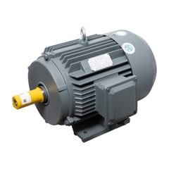 Motor LAEG TYP Series – Động cơ đồng bộ nam châm vĩnh cửu
