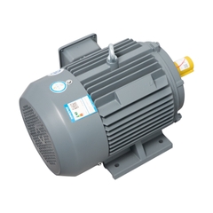 Motor LAEG TYP Series – Động cơ đồng bộ nam châm vĩnh cửu
