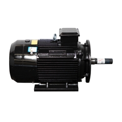 Motor LAEG TYP Series – Động cơ đồng bộ nam châm vĩnh cửu